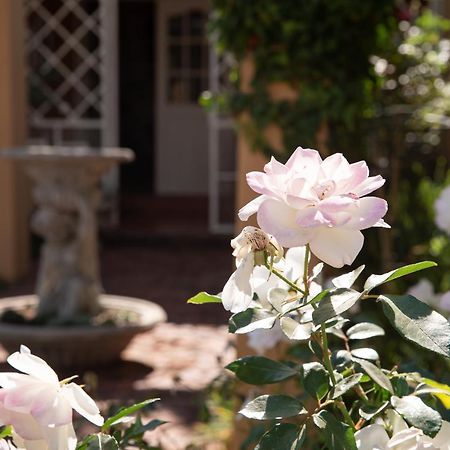 Roses And Pebbles B & B Guest House 클레크스도르프 외부 사진